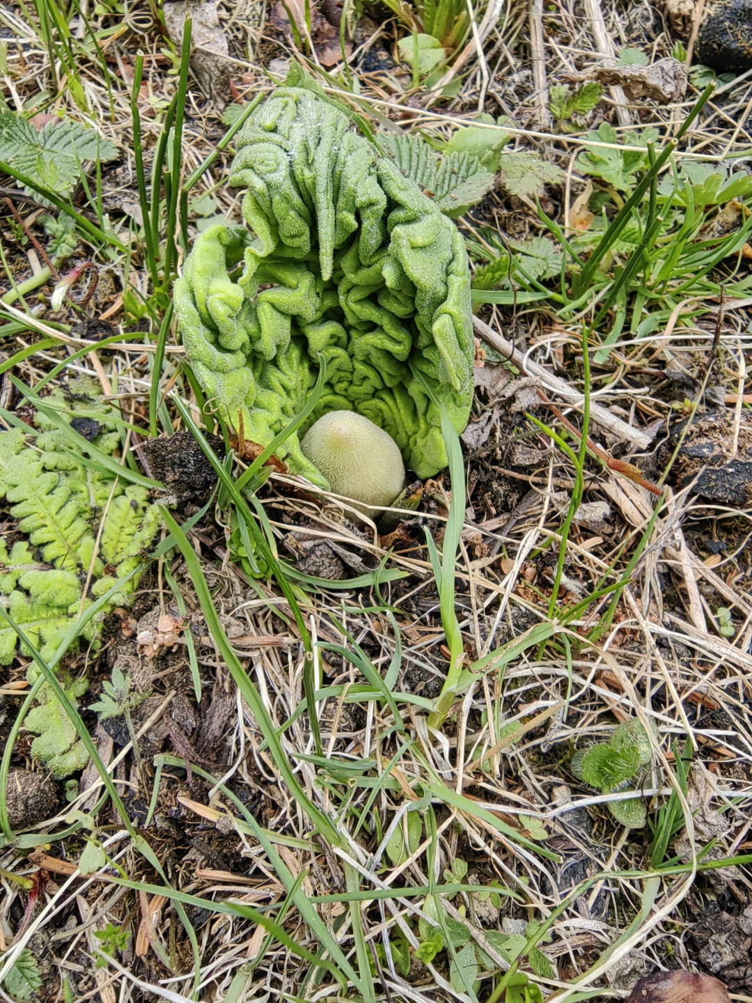 亚博体育-??葵l-亚博体育